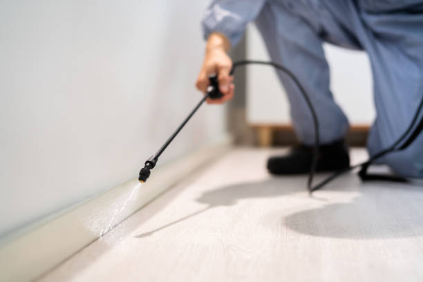 Licensed Pest Control service in North Carolina, NC - Show Me Pest Control