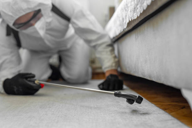 Professional Pest Control technician working in North Carolina, NC
