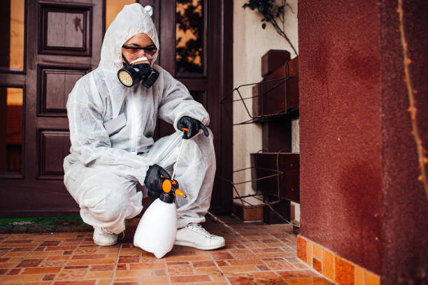 Reliable Pest Control contractor in North Carolina, NC by Show Me Pest Control